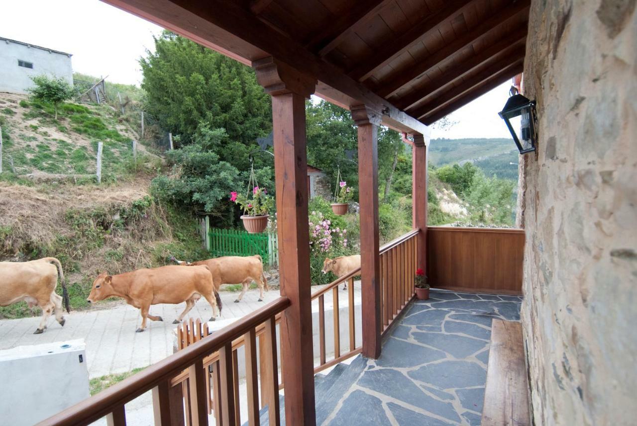 Apartamentos Rurales Tía Vicenta Santa Eulália de Oscos Exterior foto